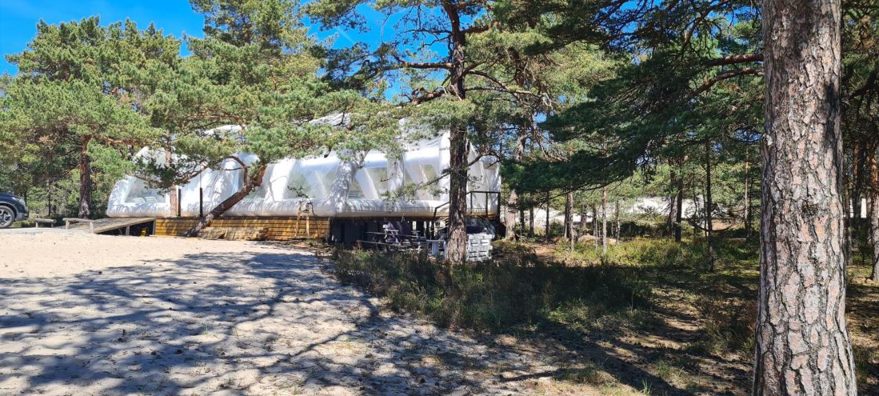 Sub Hel. Budzetowe Pokoje W Domu Z Basenem. Wokol Domu Tylko Natura. Balkon Zbyteczny. 외부 사진